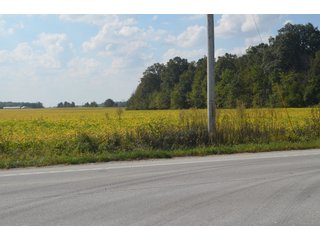 Property photo 40 - REAL ESTATE AUCTION - 604+/- ACRES IN 14 TRACTS IN MERCER CO., OHIO